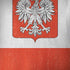 Poland Flag Distressed iPhone X Skin